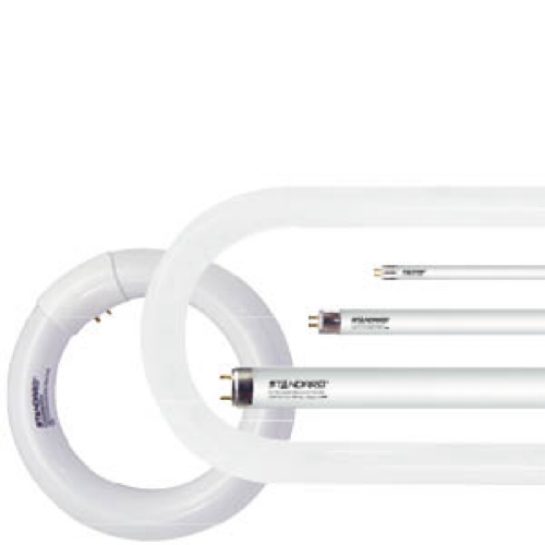 Fluorescent Lamps