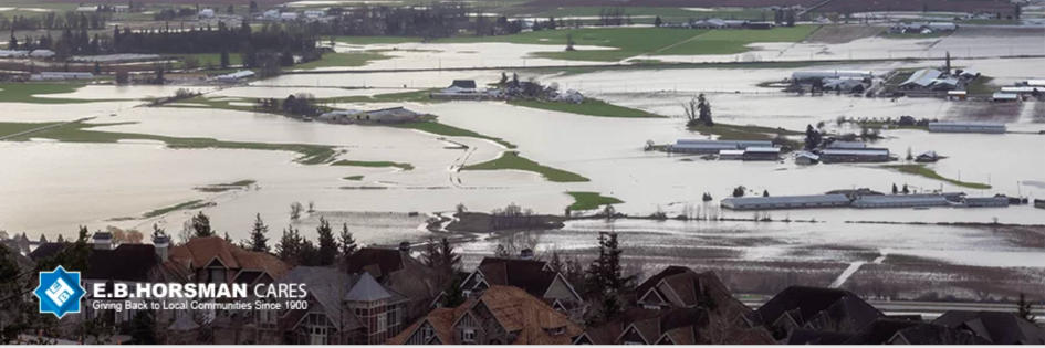 Flooded farmlands
