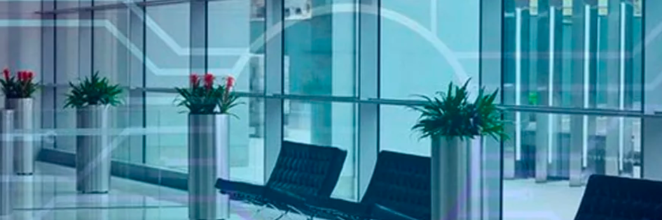 modern office with large blue tint windows and four silver planters holding green bushes and red flows with green stems.